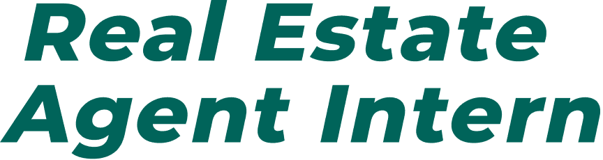 Real Estate Agent Intern